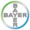 /album/dedetizadora-em-procedimento/bayer2-jpg/